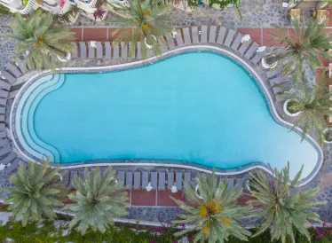 Flamingo Hotel & Spa - Pet Friendly