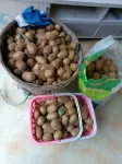 Xiaoqiao Homestay - breakfast