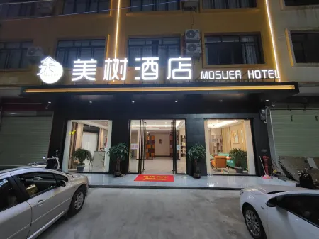 Fuyu Meishu Hotel Отели в г. Фусуй