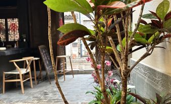 Jianshuijingzhu Homestay (Jianshui Ancient City Branch) - Housity