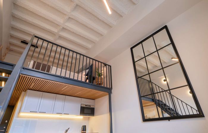 Queen Barbora Central Lofts