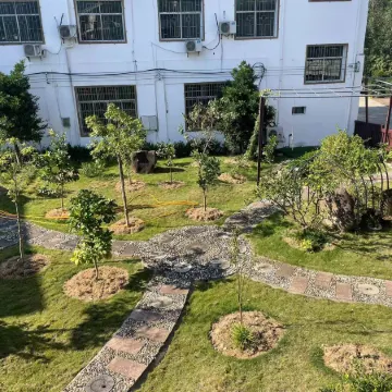 Zixi Juezhe Ask Su B&B