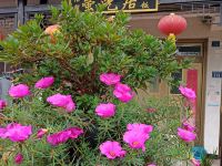 仙居萤光居农家乐 - 花园