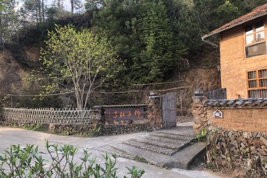 松阳柿子红了民宿