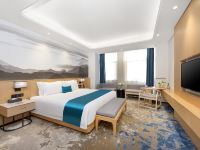 西安澳斯特酒店 - 温馨大床房
