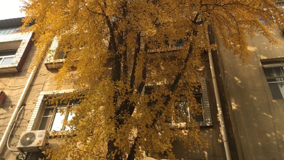 Wuxi Xu Xiake International Youth Hostel