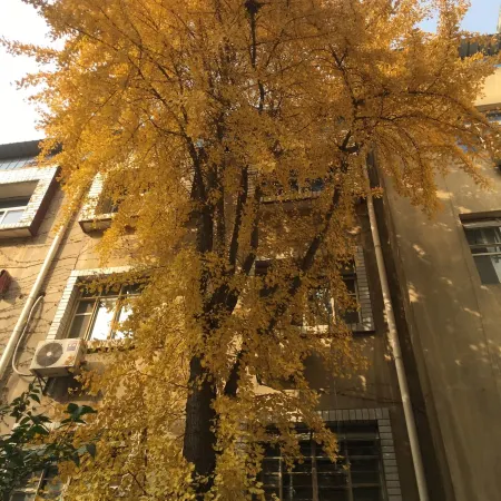 Wuxi Xu Xiake International Youth Hostel