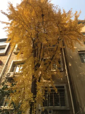 Wuxi Xu Xiake International Youth Hostel