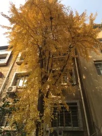 Wuxi Xu Xiake International Youth Hostel