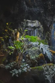 Hengyang Yuxi Shengjing City Ecological Homestay (Nanyue Temple Scenic Area)