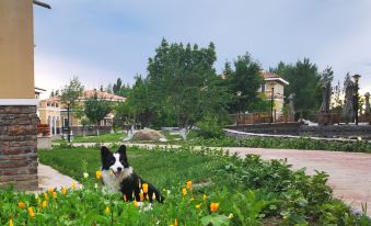 Deep in the mountains, Moon River Villa, a wild luxury holiday homestay