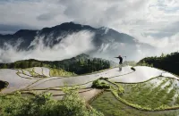 Titian Fengqing Farmhouse