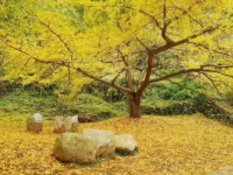 Sansheng Youxing Swimming Pool Vacation Apartment (Yinxing Valley)