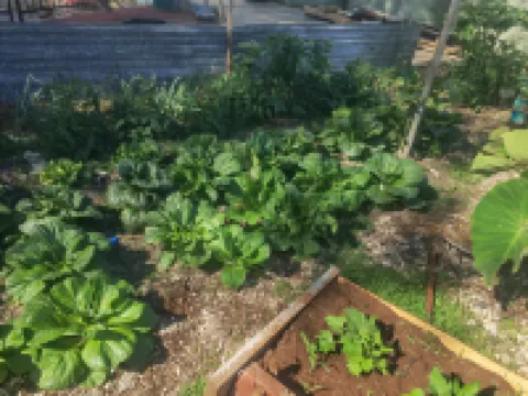 娜塔酒店 湯加塔布島酒店