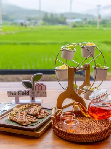 รูปภาพของเดอะฟิลด์แอทปัว The Field Pua