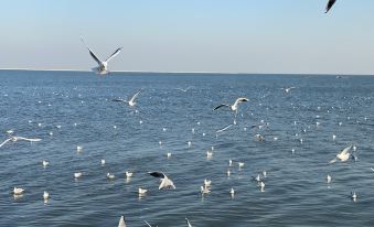 Xilin Xiaowo Homestay