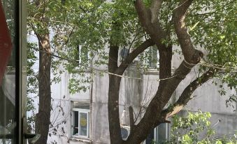 Tang Guo Theme Hotel