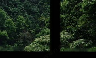 Pujiang Yishanmen Homestay