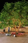 Ku'erdening Town Riverside Guishu - bar