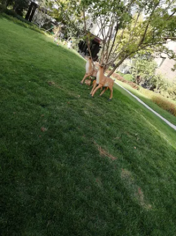 Bazhou Xinxin Homestay