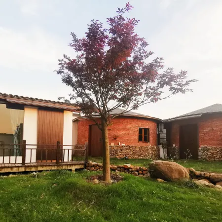 Biezi Homestay