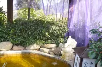 Ming Resort & Spa - Hot Springs