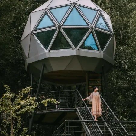 Guizhou Tongren Treehouse Huangu Homestay