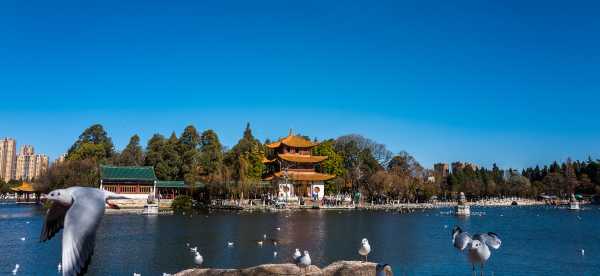 Best Hotels in Kunming