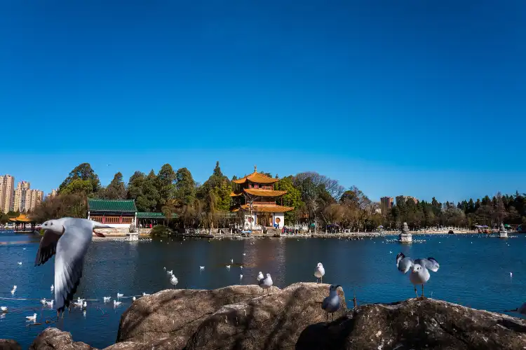 Cina: hotel con internet nella provincia di Yunnan