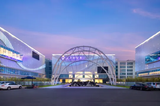 BLUE OCEAN LINDUN HOTEL