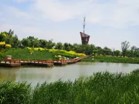 Atour Hotel Tianjin Eco-City Haiboguan - Ocean View