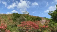 Daweishan Hotel Hotels near Dawei Mountain Country National Forest Park