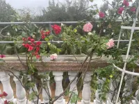 Haifeng Xiaozhu Hotels in Tongguling National Nature Reserve