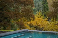 A Millet Resort Hotel Moganshan Scenic - Luxury