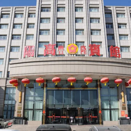 Yanggao Fenglong Hotel
