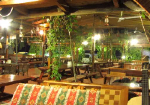 NATURAL PENSIYON