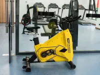 Pingcuo Kangsang Sherpa Hotel - Gym