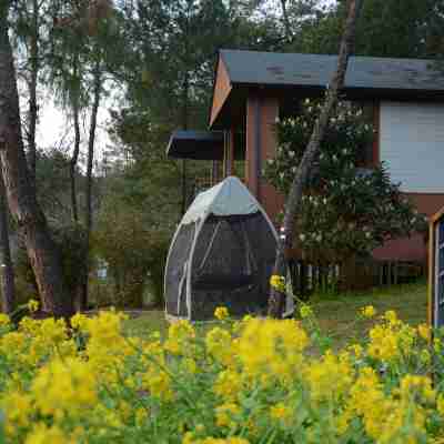 Huangshan Hegu Gengshe Forest Resort Hotel Exterior