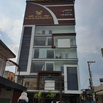 Hotel Palm International