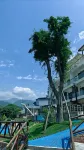 Mianzhu Luming Naluwan Homestay Hotels in Mianzhu
