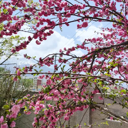 Qilian Chengfu Business Hotel