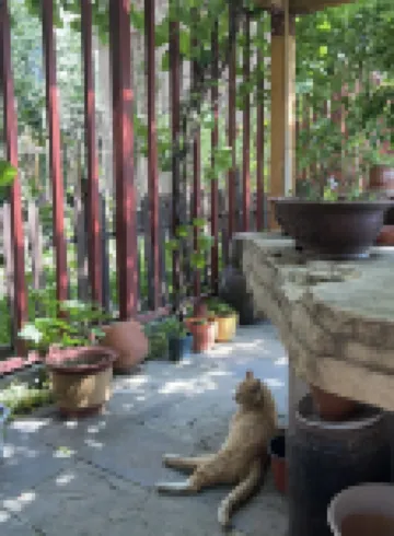 Baishan Penglai Hotel