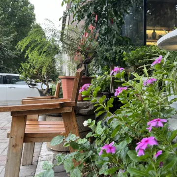 Songshanju Boutique Hostel