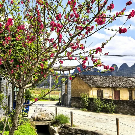 Yingde Huayuanli Hotel (Yingxi Peak Forest Corridor Branch)