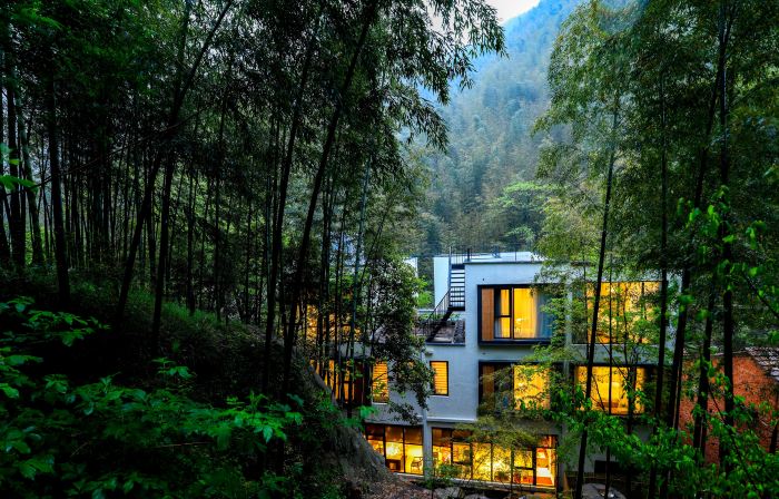 Yixing Qinlu homestay