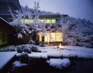 Oku Yugawara Tsubaki Hotels in Yugawara