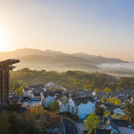 Banyan Tree Huangshan