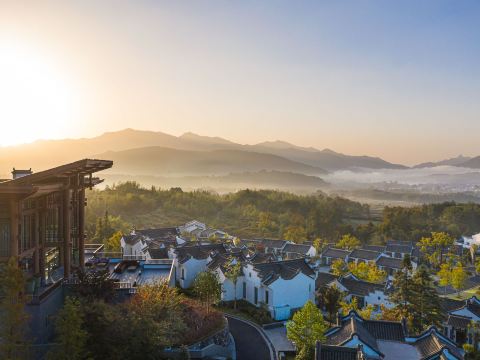 Banyan Tree Huangshan