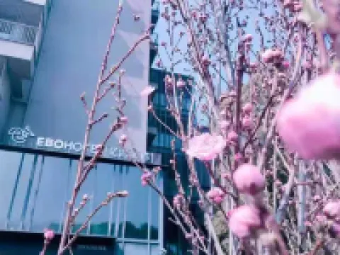 EBO Hotel(Hangzhou West Lake Wulin Square Store) Hotels near Wulin Square