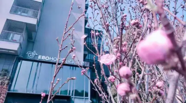 EBO Hotel(Hangzhou West Lake Wulin Square Store)
